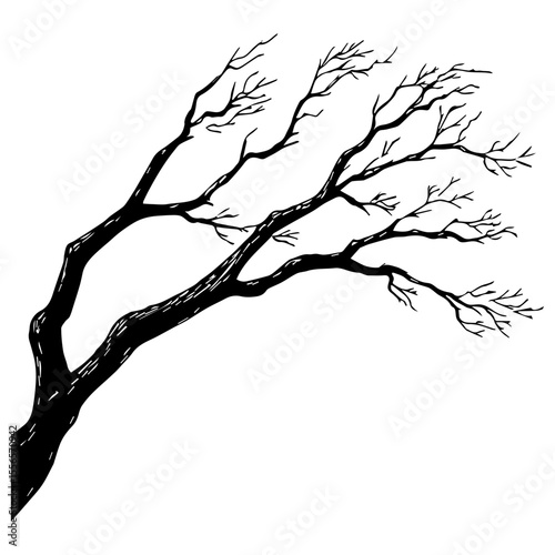 Bare tree branch silhouettes, Black branches without leaves