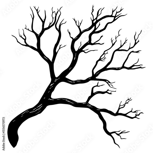Bare tree branch silhouettes, Black branches without leaves