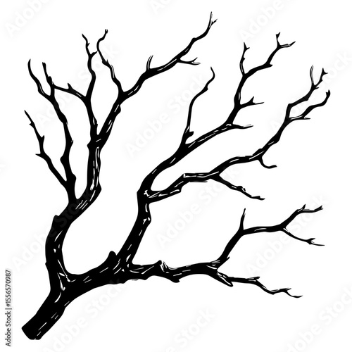 Bare tree branch silhouettes, Black branches without leaves