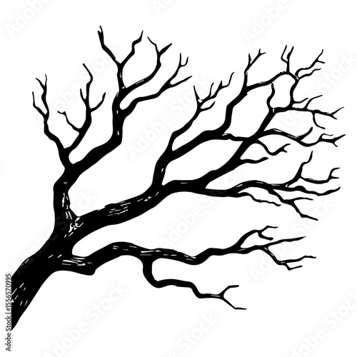 Bare tree branch silhouettes, Black branches without leaves
