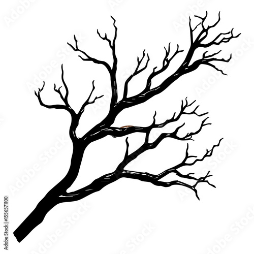 Bare tree branch silhouettes, Black branches without leaves