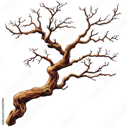Bare tree branch silhouettes, Black branches without leaves