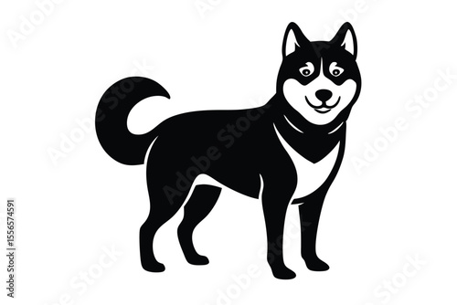 black and white dog