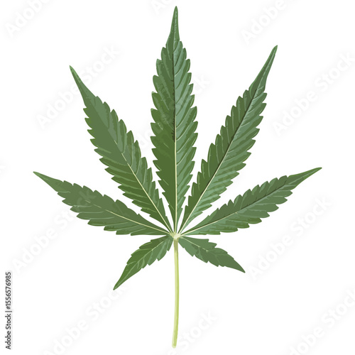 Weed Marijuana cannabis leaf vector icon logo illustration