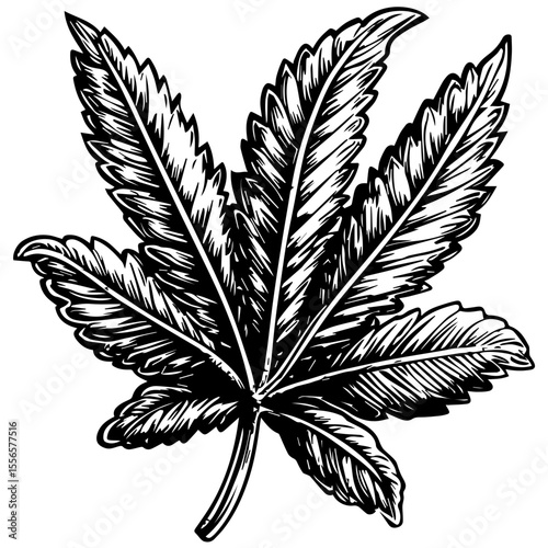 Weed Marijuana cannabis leaf vector icon logo illustration