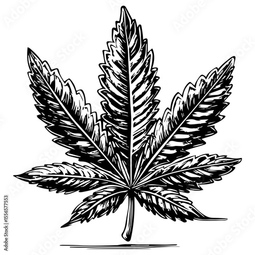 Weed Marijuana cannabis leaf vector icon logo illustration