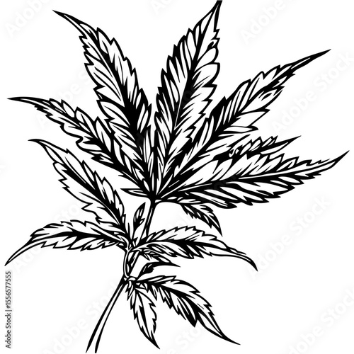 Weed Marijuana cannabis leaf vector icon logo illustration