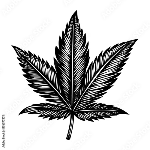 Weed Marijuana cannabis leaf vector icon logo illustration