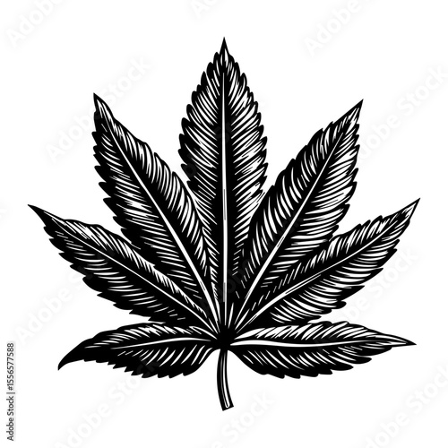 Weed Marijuana cannabis leaf vector icon logo illustration
