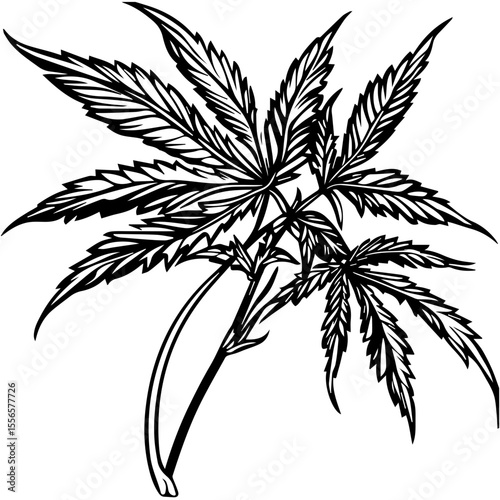 Weed Marijuana cannabis leaf vector icon logo illustration