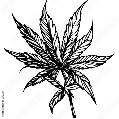 Weed Marijuana cannabis leaf vector icon logo illustration