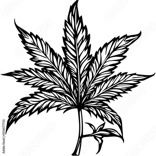 Weed Marijuana cannabis leaf vector icon logo illustration