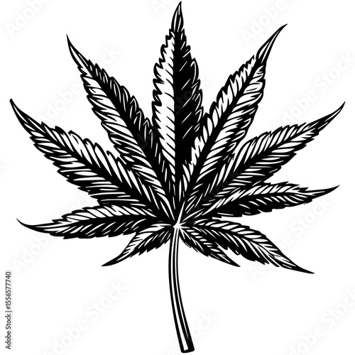 Weed Marijuana cannabis leaf vector icon logo illustration