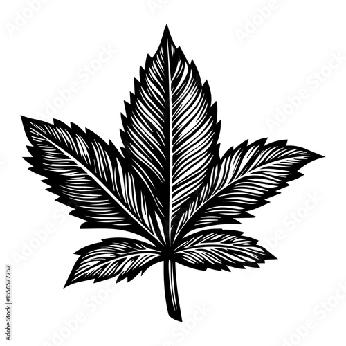 Weed Marijuana cannabis leaf vector icon logo illustration