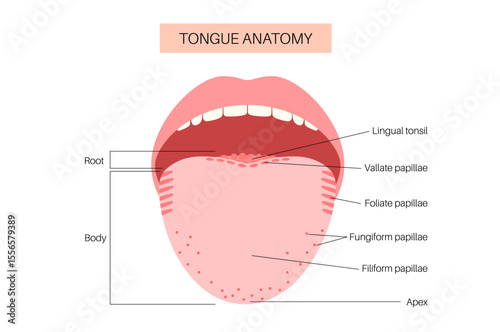 Human tongue poster