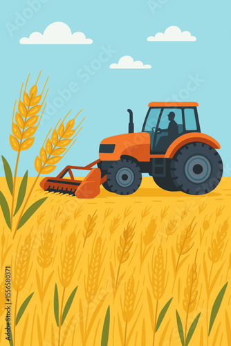 Agricultural tractor harvesting grain in a farm field. Modern machinery collecting wheat, rye, or barley crop during the autumn harvest season. Flat cartoon vector illustration.