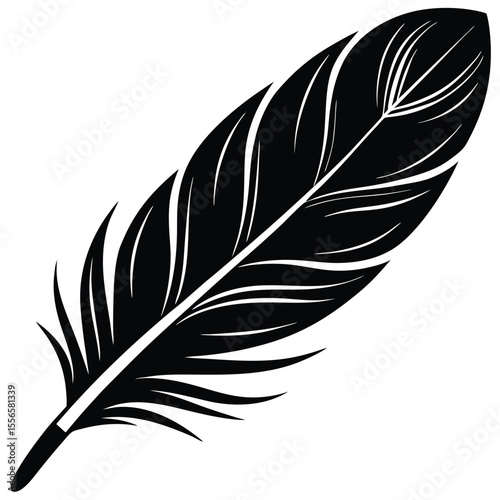 Black and white feather in elegant floating pose with soft curve silhouette vector
