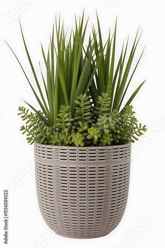 Gray planter with greenery, succulents, and grass.
