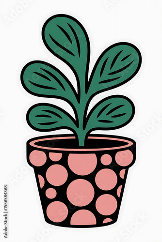 Small plant in a dotted pot.
