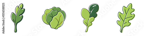 Vibrant dill sprout, cabbage, mizuna and radish microgreen leafs icon set, playful hand drawn style illustration for nature and food designs