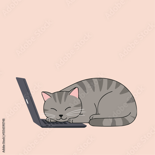 Grey cat sleeping on laptop with pink background for International Cat Day  
