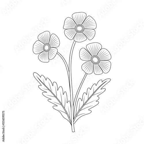 buttercup flower illustration vector style coloring page 