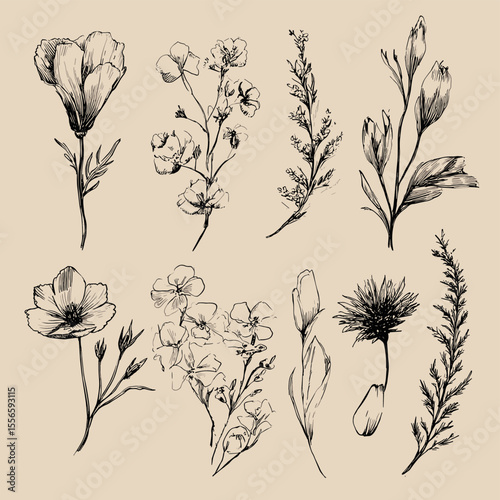 Great for invitations, cards, and product packaging