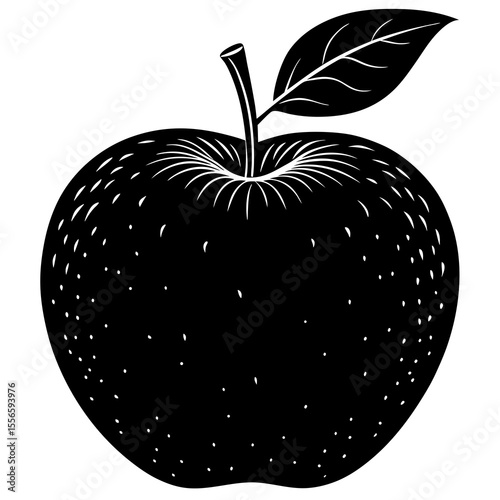 vector illustration of an apple