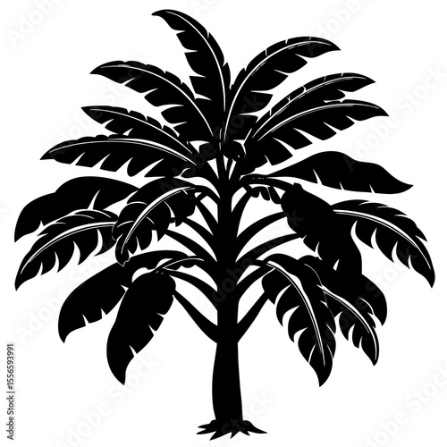 banana tree silhouette