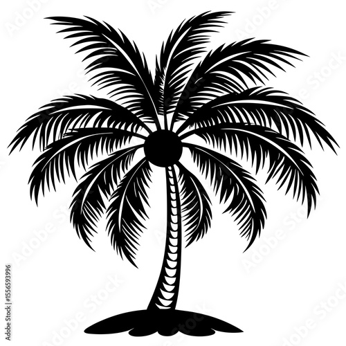 palm tree silhouette
