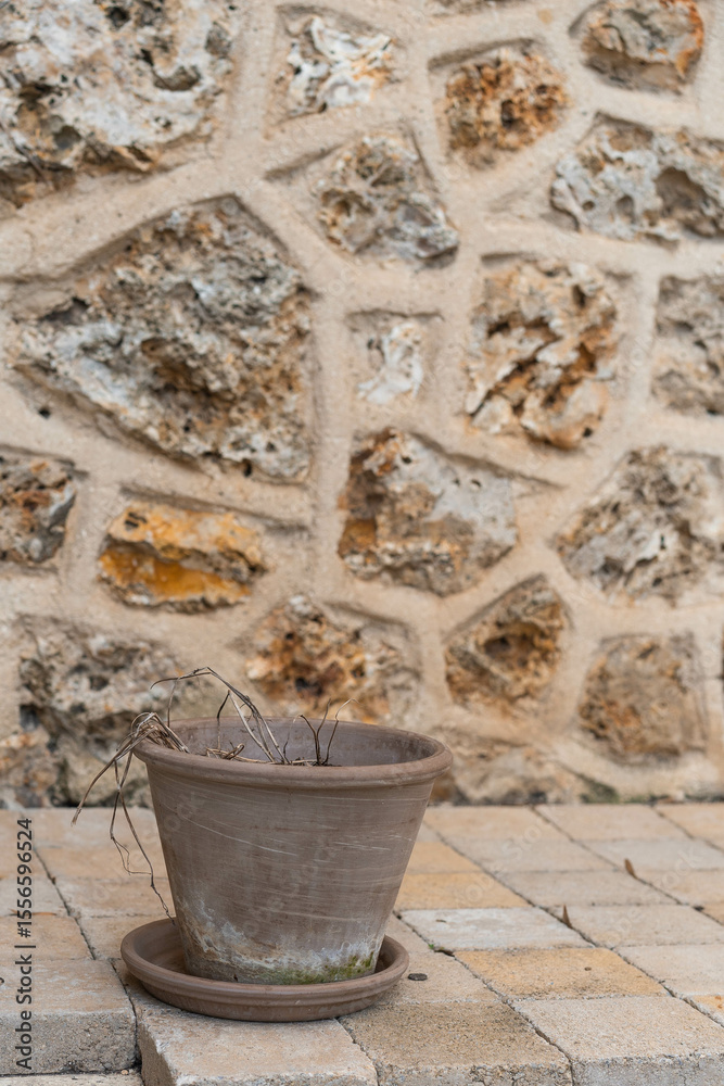 Empty flowerpot on stone background near entrance wall. Empty flowerpot on stone background near entrance wall.