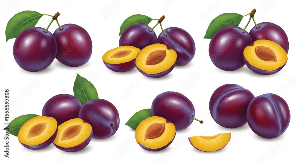 Fresh Plum Fruit Collection with Whole and Sliced Pieces Vector Illustration