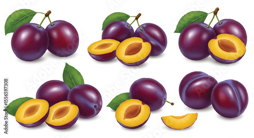 Fresh Plum Fruit Collection with Whole and Sliced Pieces Vector Illustration