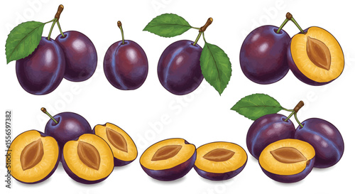 Fresh Plum Fruit Collection with Whole and Sliced Pieces Vector Illustration