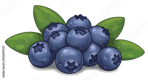  Hand Drawn Blueberries with Leaves Vector Illustration