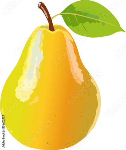 A vibrant and delicious pear, freshly picked, with a single green leaf and a brown stem