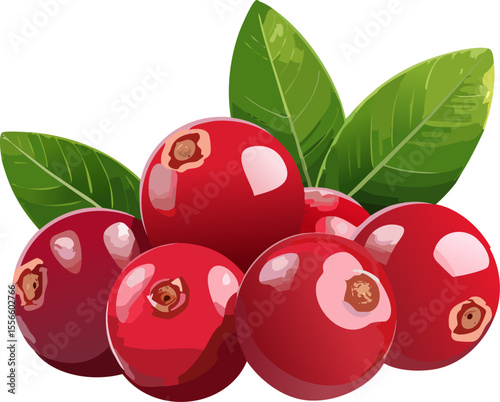 Fresh cranberries, arranged in a vibrant cluster, with lush green leaves. The image captures the natural beauty of these tart, juicy berries