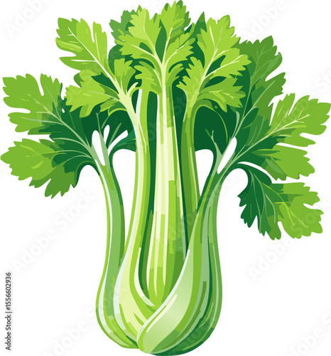Fresh, vibrant celery, ready for consumption