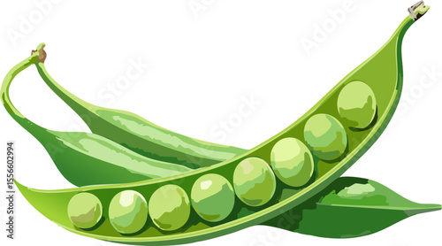Fresh pea pods showcasing vibrant green peas inside, offering a glimpse of nature's bounty