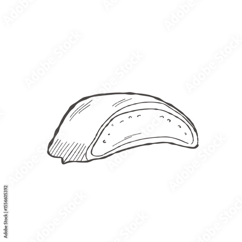 Vector illustration cartoon of Aloe Vera cross-section slice in hand-drawn black-and-white style, ideal for cosmetics, packaging or educational diagrams