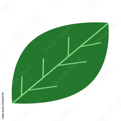 vector illustration of an abstract green leaf