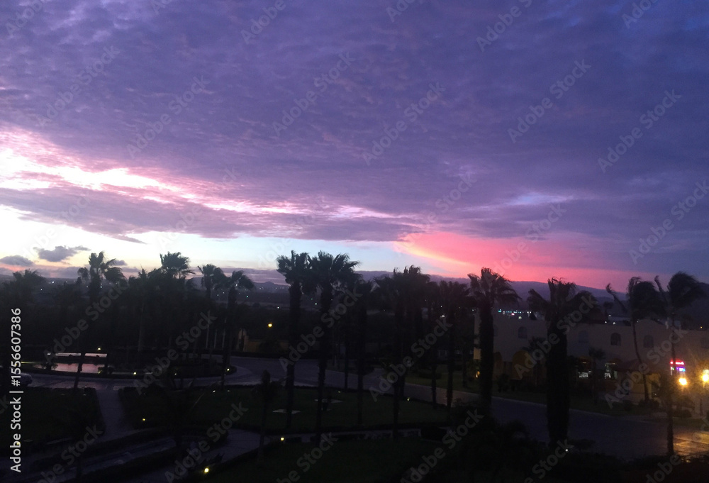 Fototapeta premium Purple and Pink Sunset Over Palm Trees