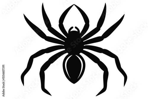 spider vector icon