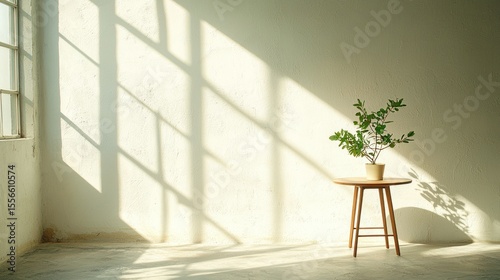 Sunlight streams through a window, illuminating a small table with a potted plant