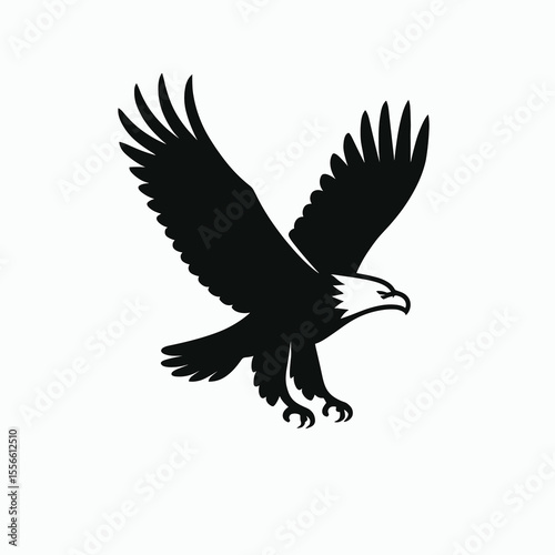 Flying eagle with spread wings