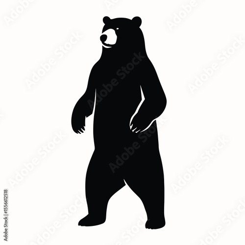 Standing bear on hind legs