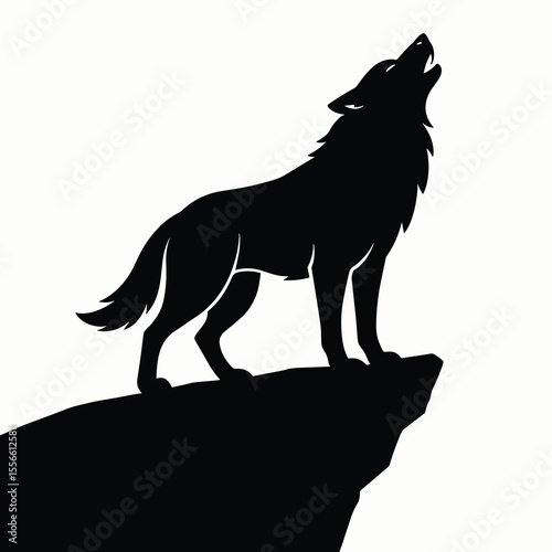 Howling wolf on cliff