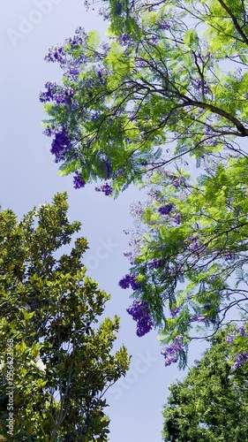 lush green trees sway gently as delicate purple flowers flutter in the breeze sunlight filters through the leaves creating a calming dance of color and movement in this peaceful nature scene