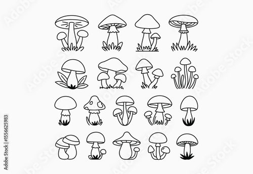 Collection of hand drawn outline mushrooms in various styles and sizes