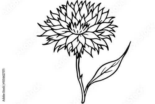 A vector illustration of a dandelion flower with seeds, leaves, and stem, capturing the essence of nature's seasonal